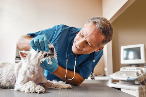 Best Same-Day Emergency Dental Services in Warwick, RI